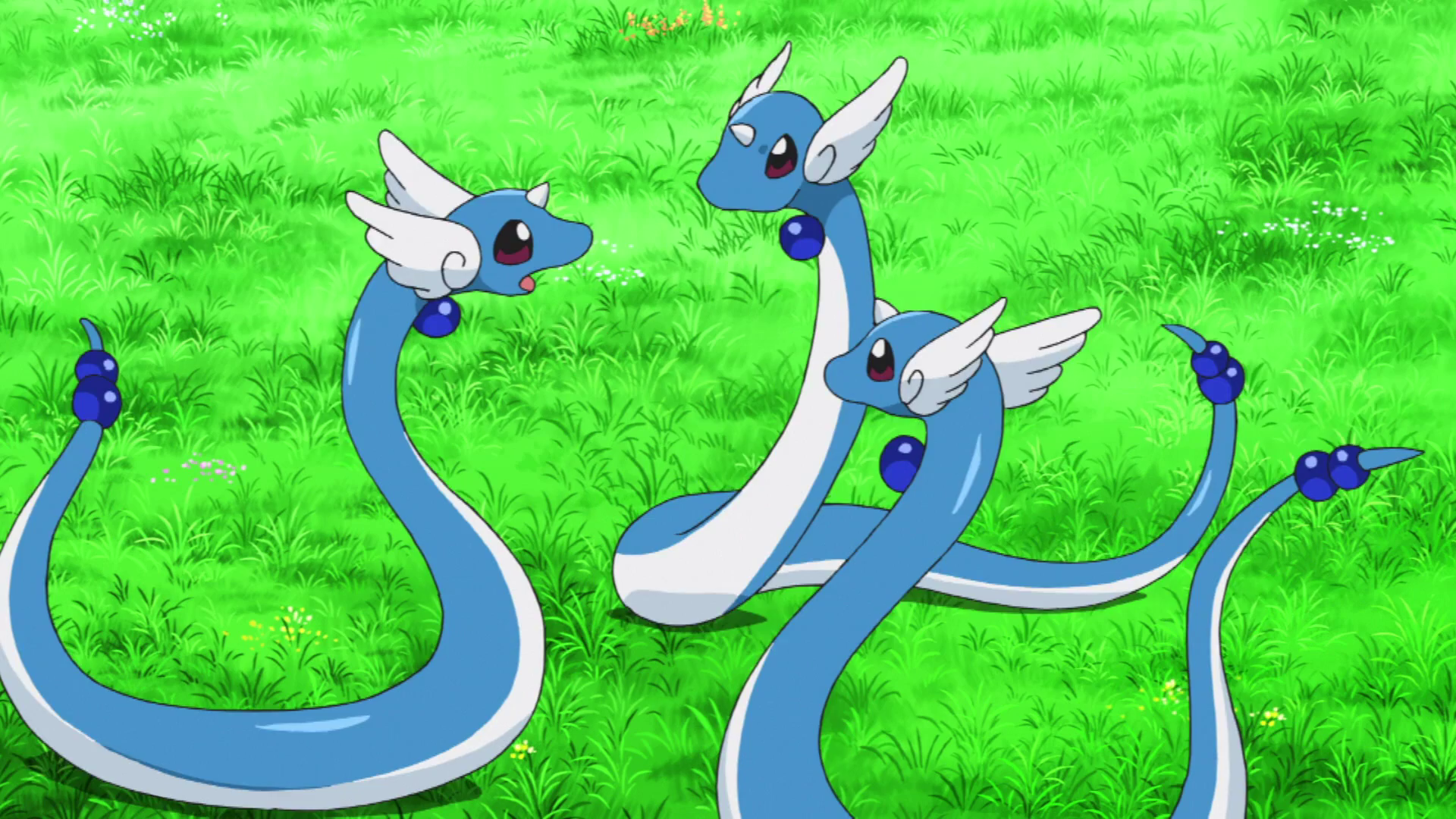 El anime de Pokémon evidencia la extraña línea evolutiva de Dratini,  Dragonair y Dragonite - Nintenderos