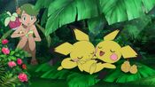 As Bounsweet watching two Pichu sleep with Mallow