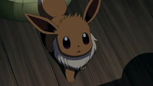 Neva Tenner Eevee.