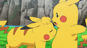 Curly sniffs Ash's Pikachu