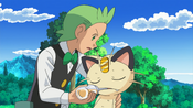 Cilan heals Meowth