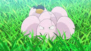 Goh Exeggcute