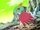 Mirror Ash's Hawlucha