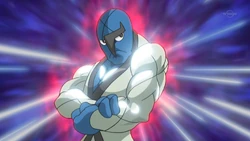 Bulk Up Pokemon Wiki Fandom