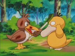 Pokemon Episode 49 Analysis – So Near, Yet So Farfetch'd