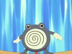 Poliwhirl was seen in the fight against Macey, it got defeated by her Quilava. Macey eventually wins the battle.