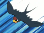 Quick Attack being used by Ash's Taillow.