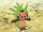 Clemont's Chespin