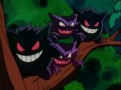 Gengar and Haunter appear