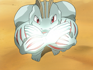 Used by Maylene's Machoke.