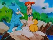 Misty sees Psyduck and Golduck