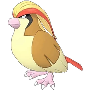0018Pidgeot Masters.png (29 KB)