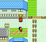 The gym (Gen II)