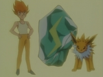 Sparky evolved his Eevee into a Jolteon using a Thunder Stone.