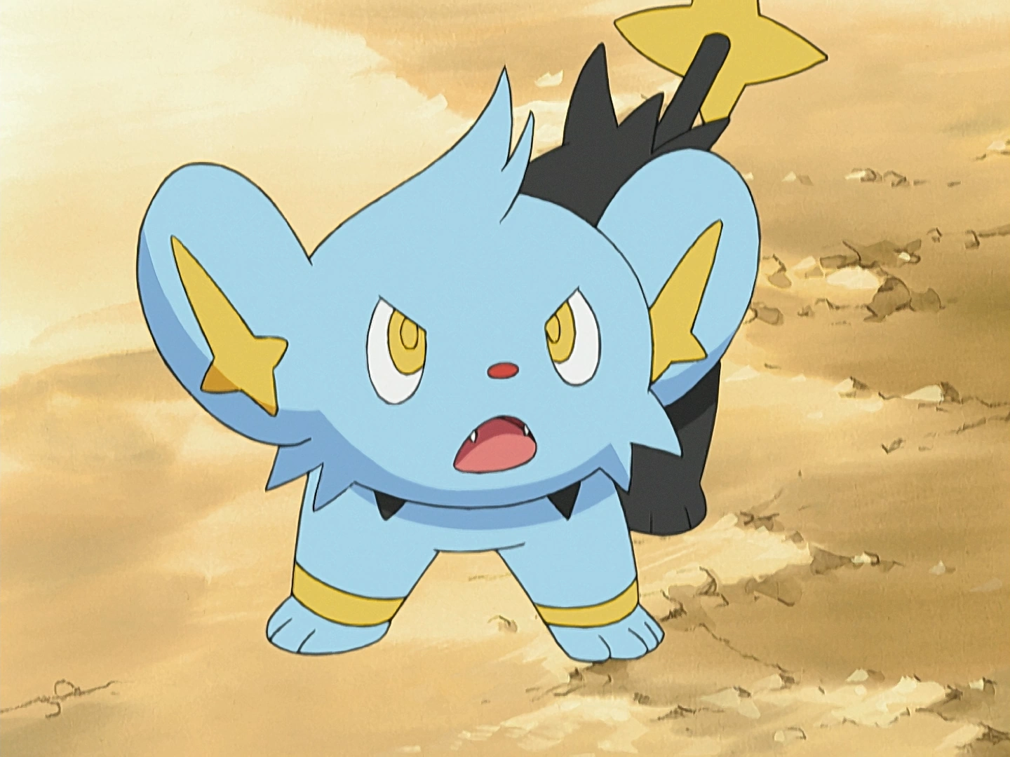 Landis' Shinx Pokémon Wiki Fandom
