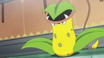 It is unknown how Red got Victreebel, however it is likely he caught either Bellsprout or Weepinbell and evolved it. Victreebel battled Giovanni's Rhyhorn and lost despite the type advantage.