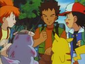 Brock goes to treat the baby Kangaskhan