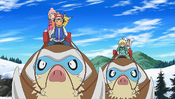Ash and friends riding Mamoswine