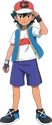 Pokémon Journeys: The Series