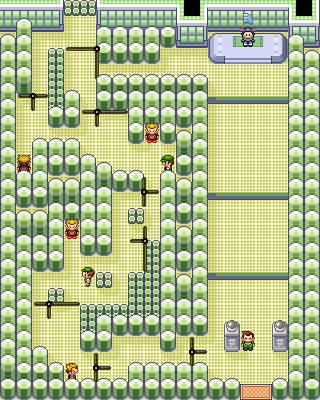 How To Get Into Fortree City Gym