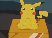 Ash places Pikachu near the statue