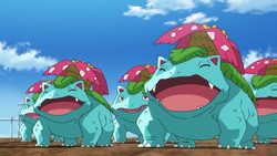 ◓ Anime Pokémon Journeys (Pokémon Jornadas) • Episódio 03: Ivysaur, não é misterioso?