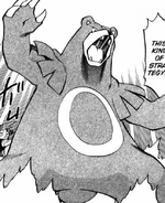 This description is blank. You can improve the Pokémon Wiki by editing this template.