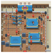 Veilstone Gym Pt