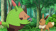 XY099