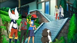 Pj056 Pokemon Wiki Fandom Pj056 Pokemon Wiki Fandom