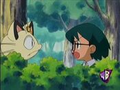 Meowth found Max