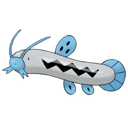 Barboach
