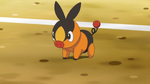 Shamus owned a Tepig but abandoned it after it lost to a Deerling. It became Ash's Tepig which later evolved into Pignite during its battle against Shamus.