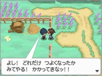Pokemon Black And White Version 2 Pokemon Wiki Fandom