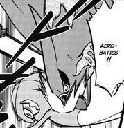 Acrobatics performed by Malva's Talonflame.