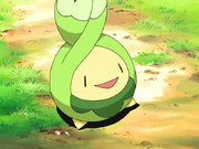 Nando Budew