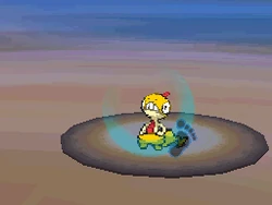 Rolling Kick Pokemon Wiki Fandom