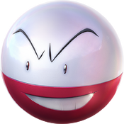 Support Electrode
