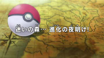 The Pokemon Weekly No,24「フシギダネ、友情のつるの傘」 The Pokemon Weekly No,24「フシギダネ、友情のつるの傘」