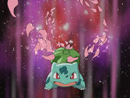 May Bulbasaur Petal Dance