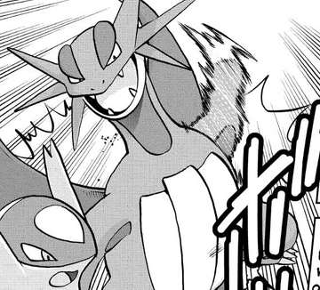 Zinnia S Salamence Pokemon Wiki Fandom