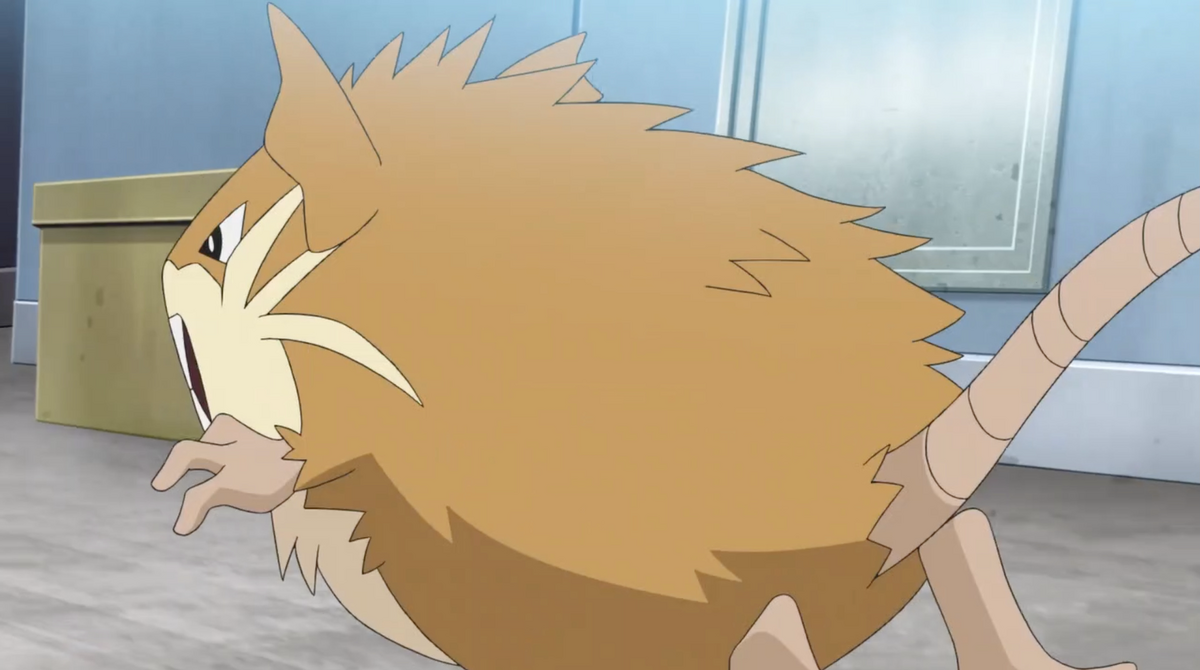 Goh's Raticate | Pokémon Wiki | Fandom