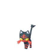 Litten-GO