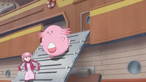 Mollie's Chansey.
