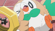 Ash Rowlet Thumbs Up