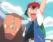 Ash and Tauros.