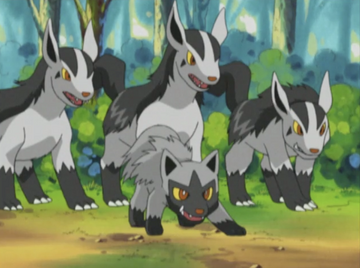 Rs011 A Bite To Remember Pokemon Wiki Fandom