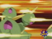 Treecko uses Bullet Seed, driving Gulpin off