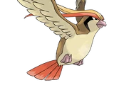 Pidgeot