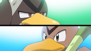 Ash Galarian Farfetch'd VS Goh Kantonian Farfetch'd